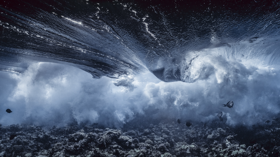 Underwater Art by Alexej Sachov – Mixed Emotions / Storm, exhibited at VOLTA Basel