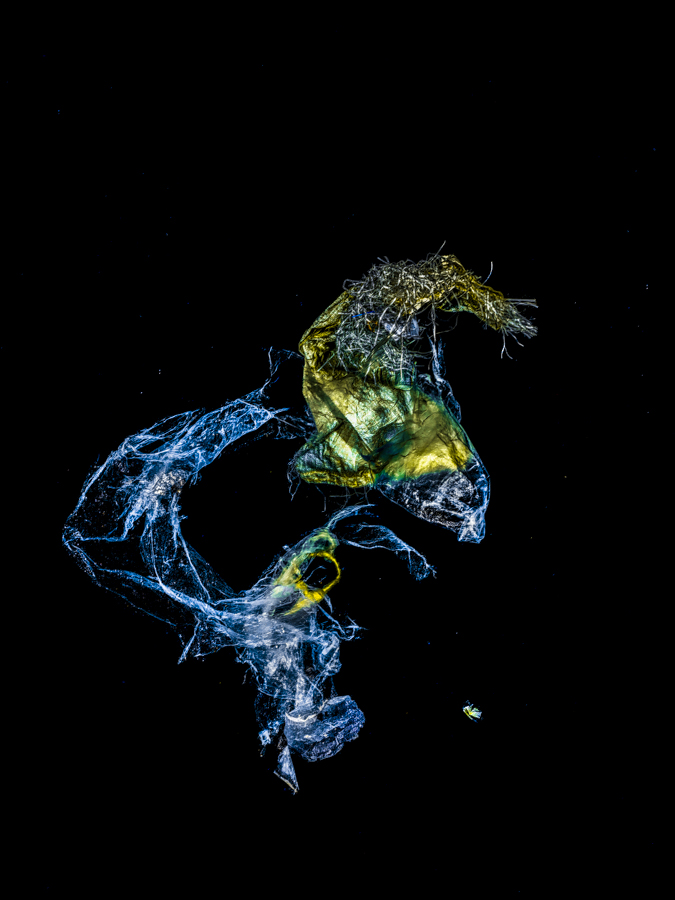 Underwater Art by Alexej Sachov – Neptune's Steed, exhibited at VOLTA Basel