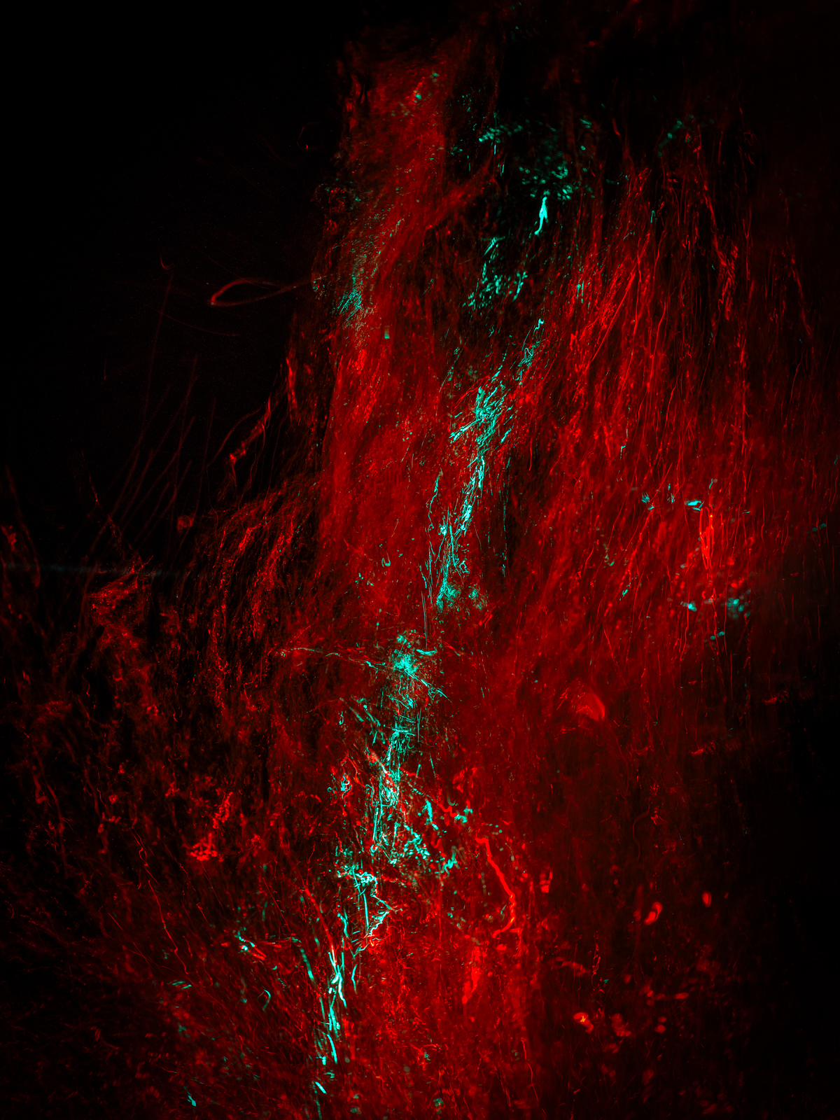 Underwater Art by Alexej Sachov – Blood #19, INC Art Fair Hamburg