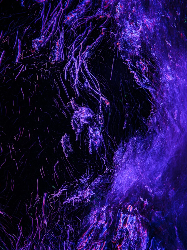 Alexej Sachov, The True Magic #1, 2024, night-dive photograph