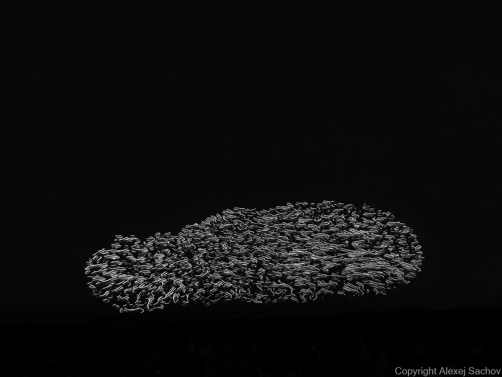 Monochrome underwater photograph «Shoe Print» from the series The Shape of Night by Alexej Sachov.