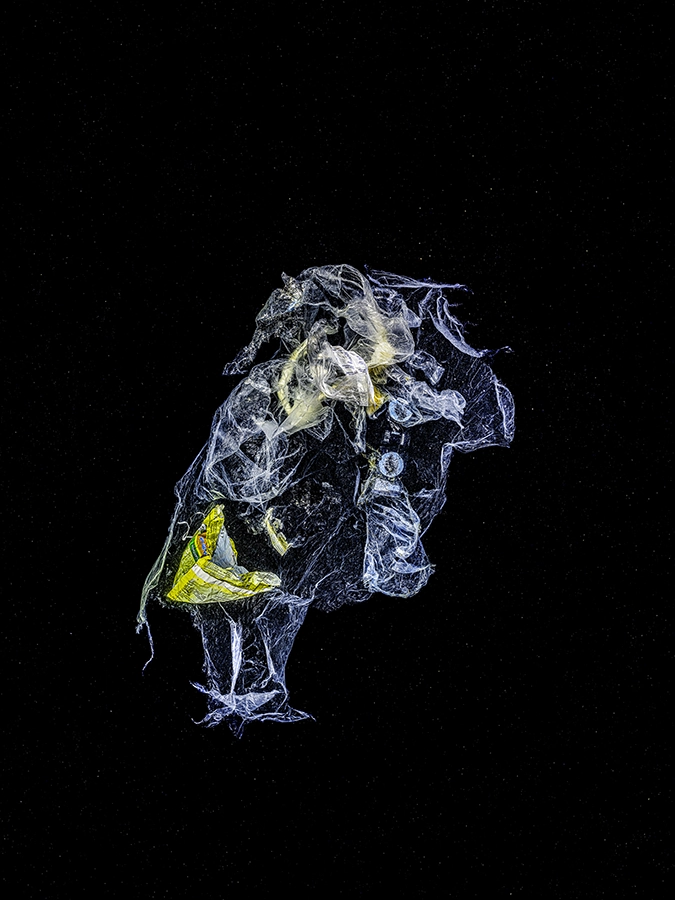 Bobby – limited edition underwater fine art photograph by Alexej Sachov